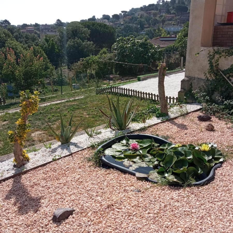 Villa Blanca 10 Minutos De La Playa Costa Brava Massanet De La Selva Exteriör bild